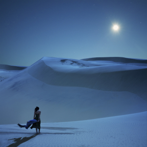 iStock Punctum Day Photo of the Year: Full Moon Calling by Vladimir Piskunov